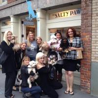 The Salty Paw Grand Reopening